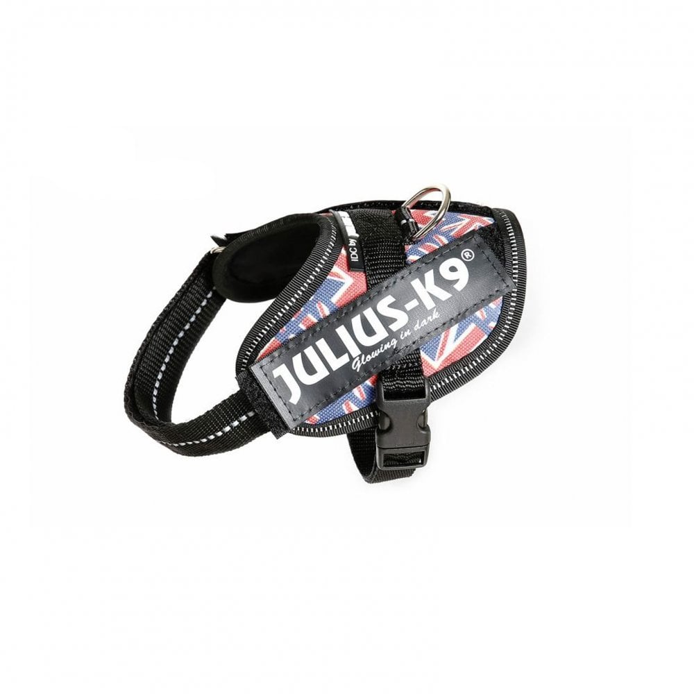 Julius-K9 IDC Powerharness British Flag