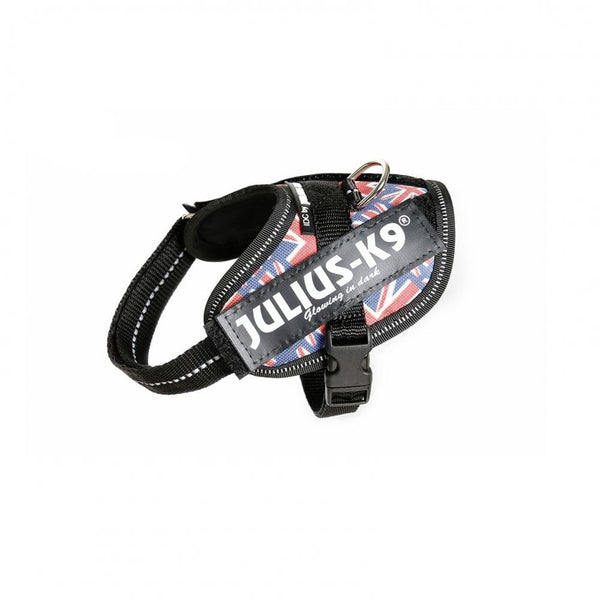 Julius-K9 IDC Powerharness British Flag