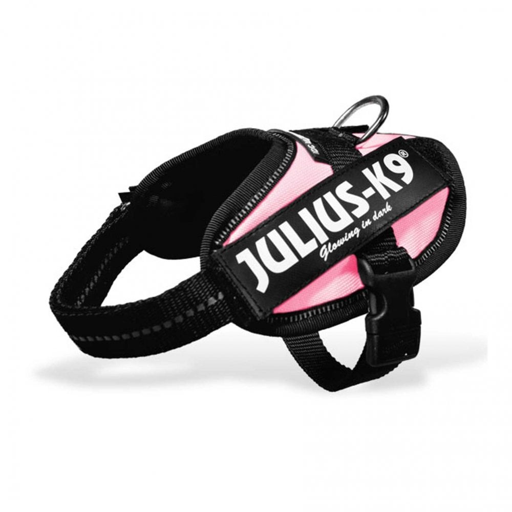 Julius-K9 IDC Powerharness Pink