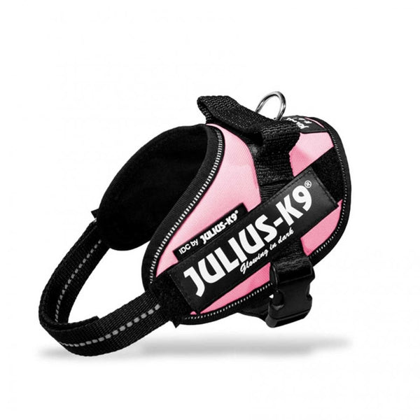 Julius-K9 IDC Powerharness Pink