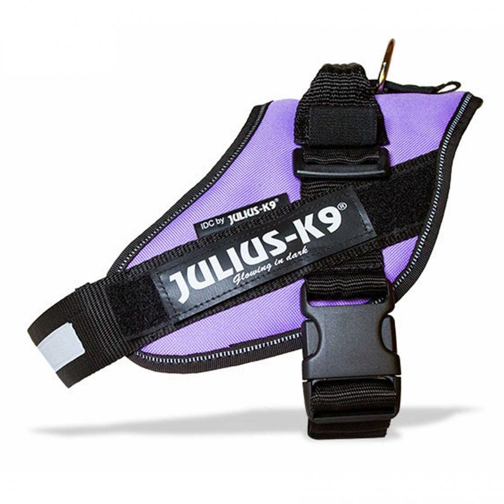 Julius-K9 IDC Powerharness Purple