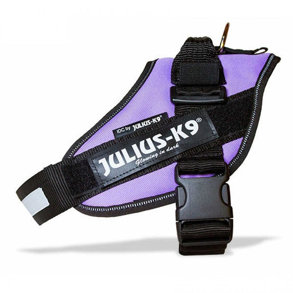Julius-K9 IDC Powerharness Purple