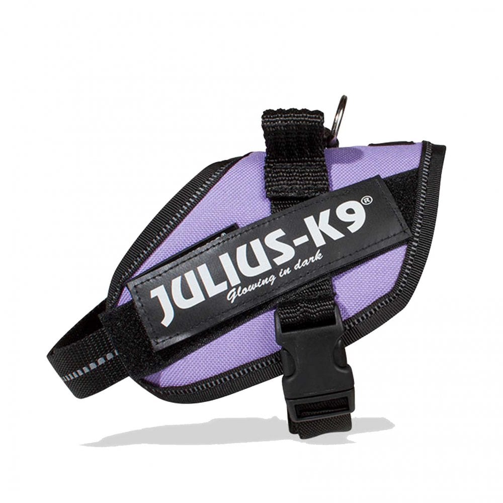 Julius-K9 IDC Powerharness Purple