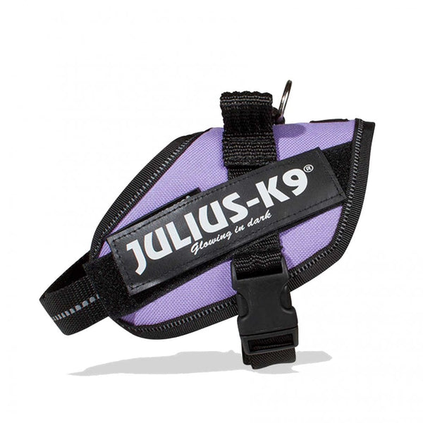 Julius-K9 IDC Powerharness Purple