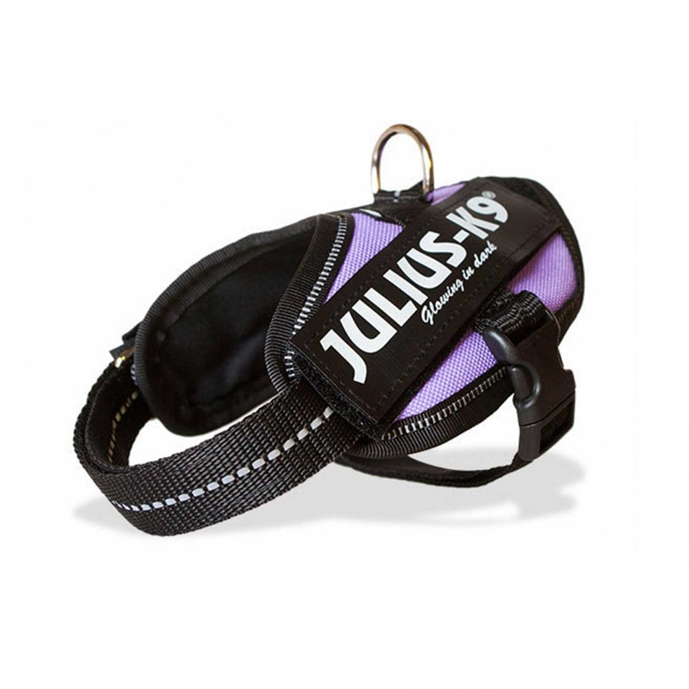 Julius-K9 IDC Powerharness Purple