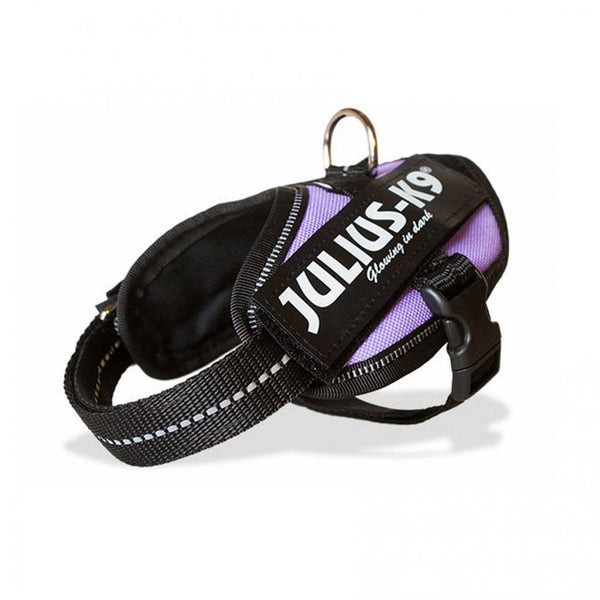 Julius-K9 IDC Powerharness Purple
