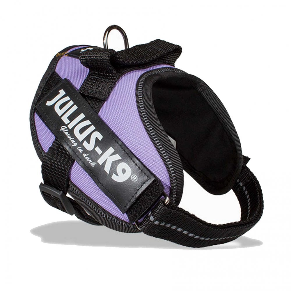 Julius-K9 IDC Powerharness Purple