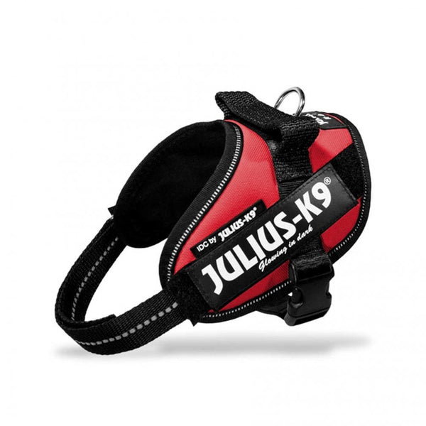 Julius-K9 IDC Powerharness Red