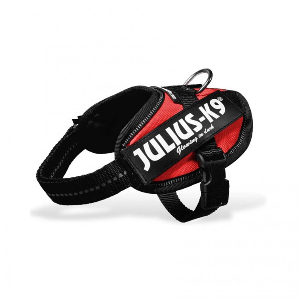 Julius-K9 IDC Powerharness Red