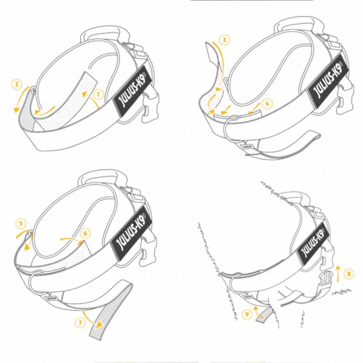 Julius-K9 IDC Front Control Y Belt With Ring