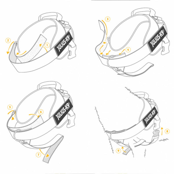 Julius-K9 IDC Front Control Y Belt With Ring