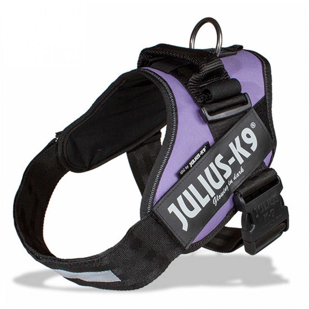Julius-K9 IDC Powerharness Purple