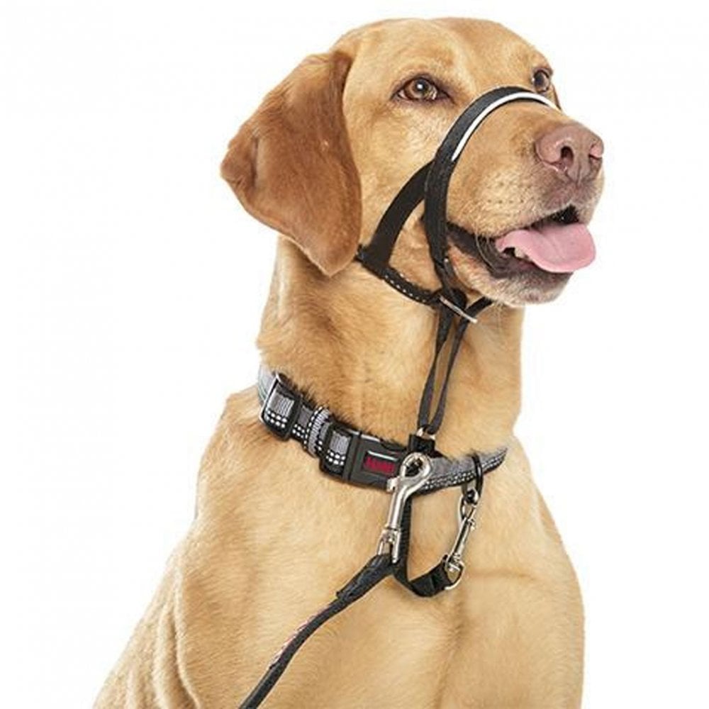 Halti Headcollar Black - Anti Pull Dog Headcollar