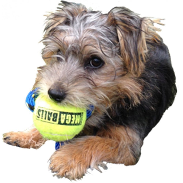 Hem And Boo Mega Ball 2.5" Single