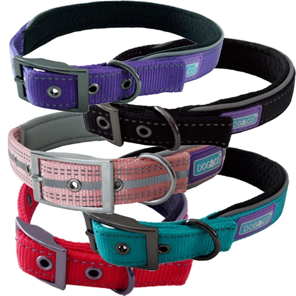 Hem And Boo Padded Reflective Dog Collar