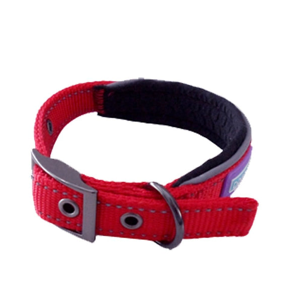 Hem And Boo Padded Reflective Dog Collar