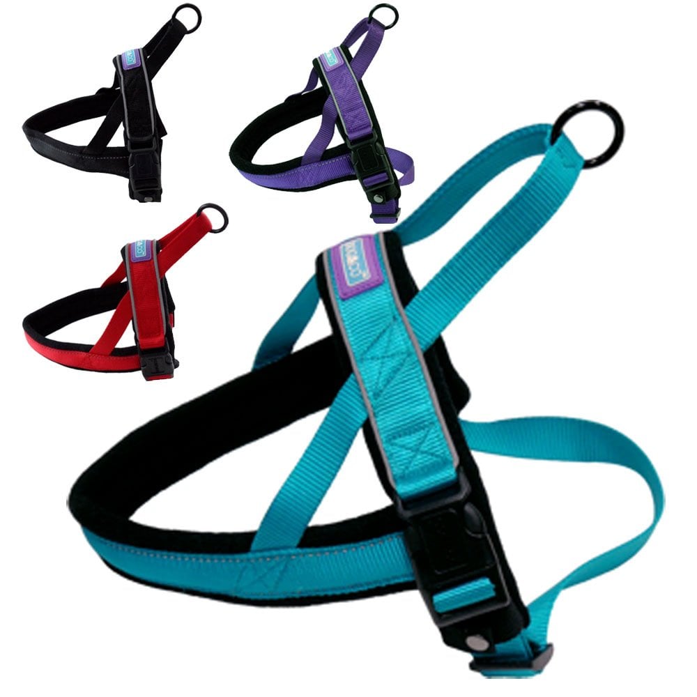 Hem And Boo Padded Reflective Dog Harness