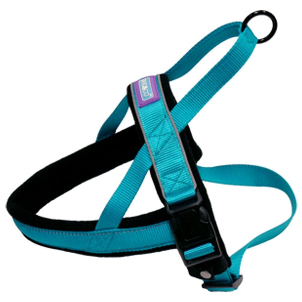 Hem And Boo Padded Reflective Dog Harness