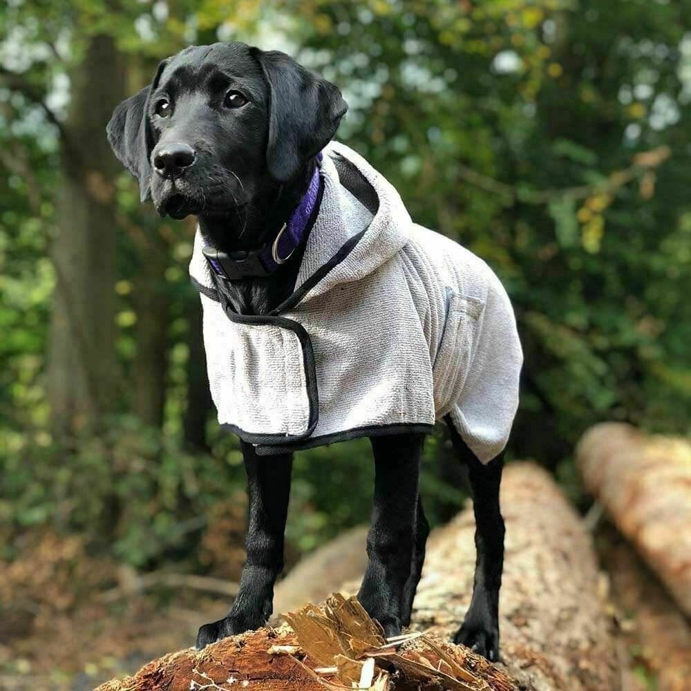 Happy Pet Groom Microfibre Dog Drying Coat