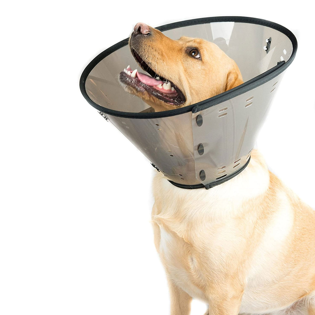 MDC Smart Collar - Cone Cat & Dog Collar