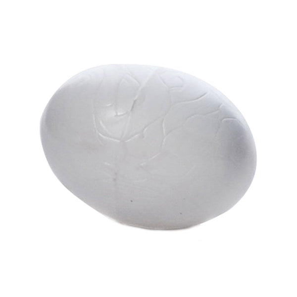 BJF Solid Plastic Pigeon Eggs 10 Pack