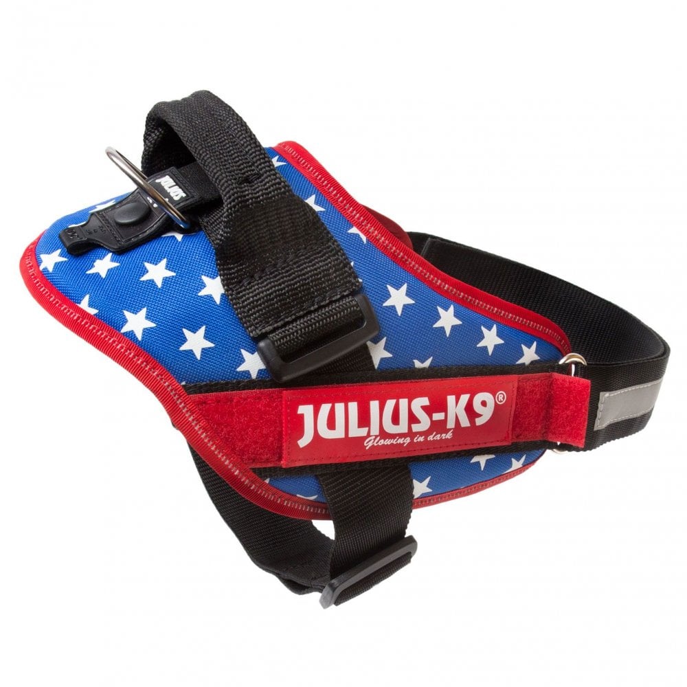 Julius-K9 IDC Powerharness American Flag