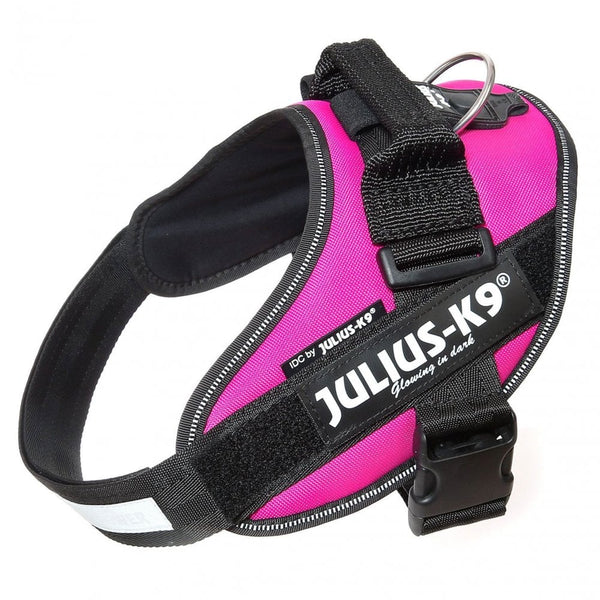 Julius-K9 IDC Powerharness Dark Pink