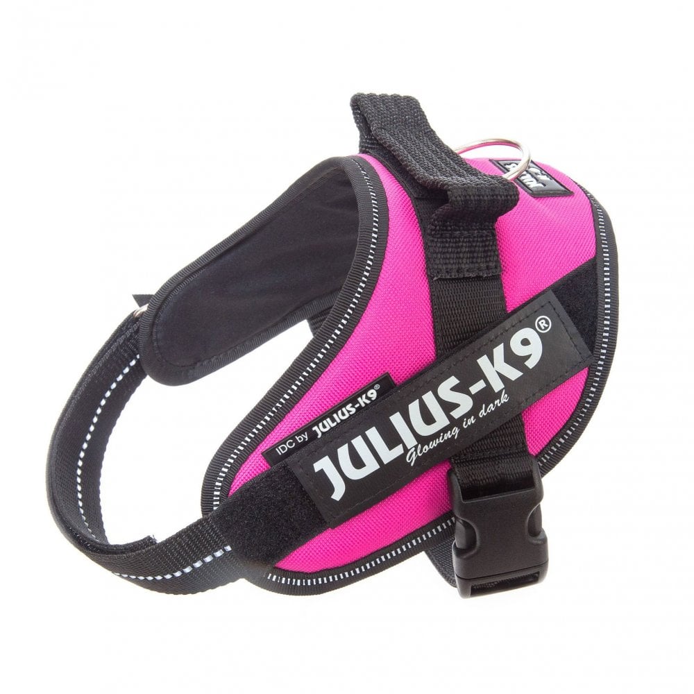 Julius-K9 IDC Powerharness Dark Pink