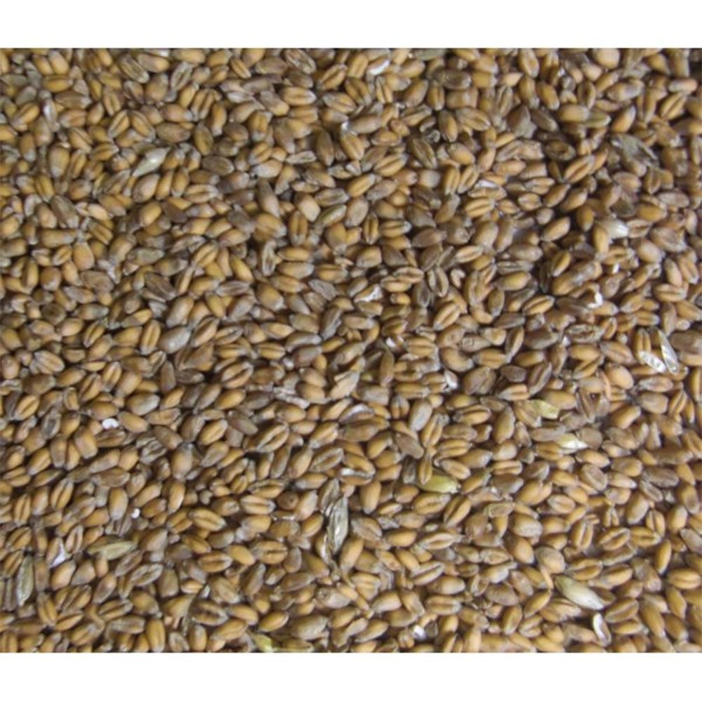 Burnhills Whole Wheat 20Kg
