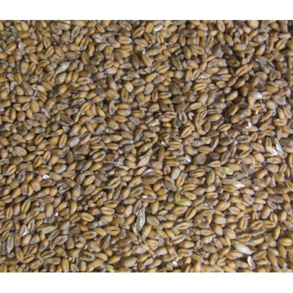 Burnhills Whole Wheat 20Kg