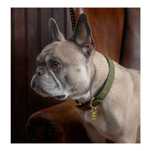 Digby & Fox Tweed Dog Collar