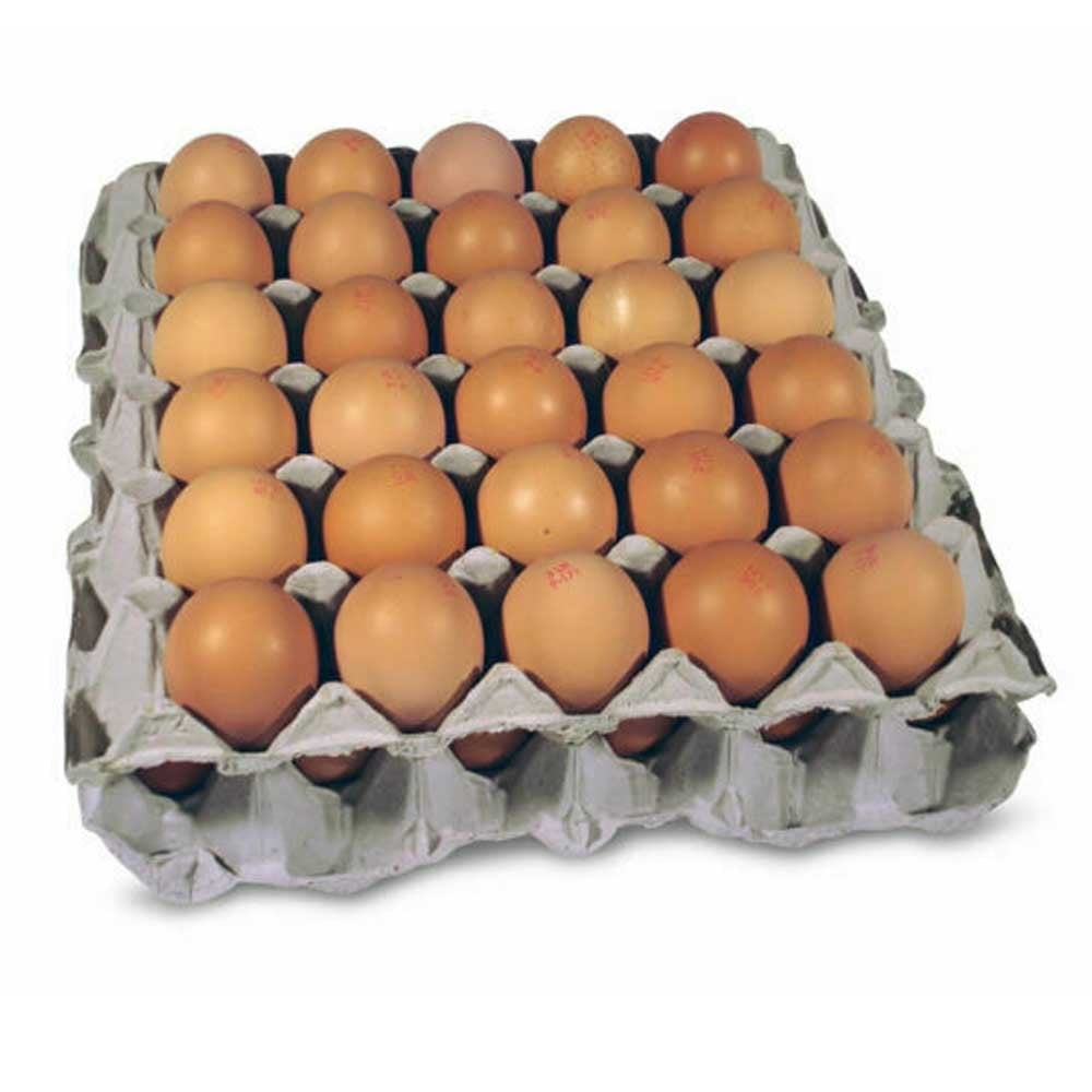 Eton 30 Cell Egg Tray- Pack Of 70 Trays