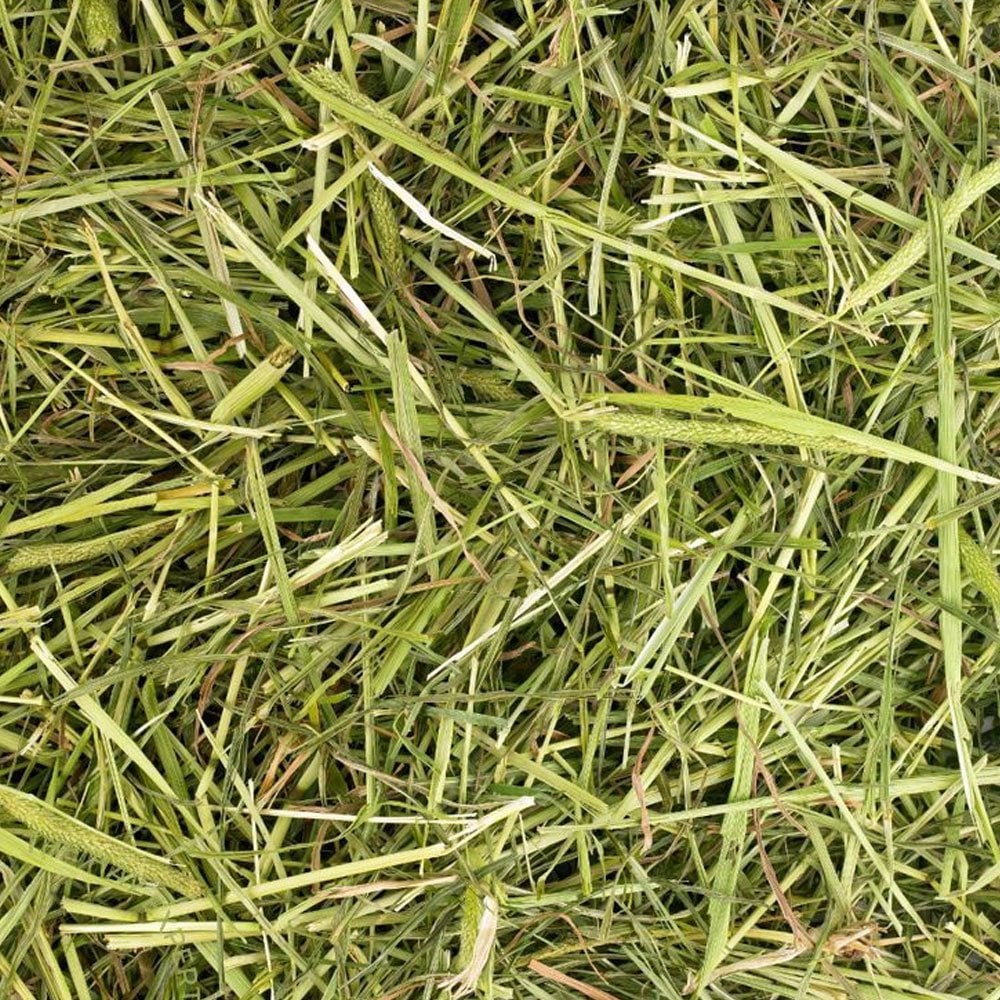 Friendship Estates Friendly Timothy Readigrass 1kg