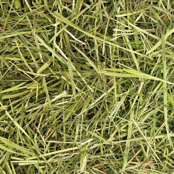 Friendship Estates Friendly Timothy Readigrass 1kg