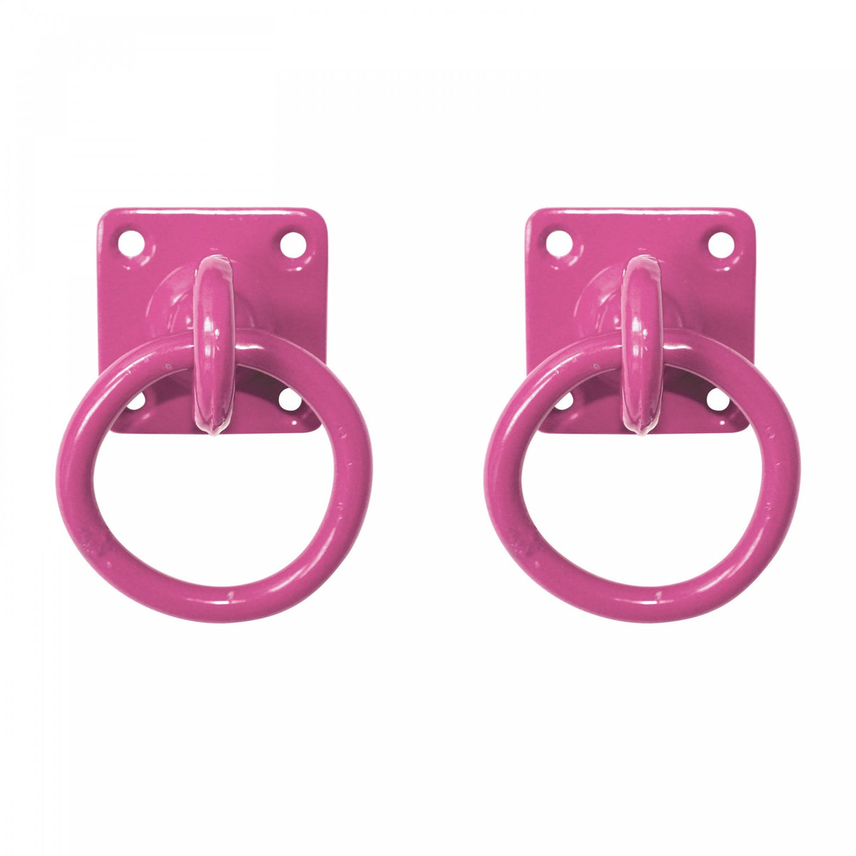 Perry Swivel Tie Ring On Mounting Plate Pack Of 2
