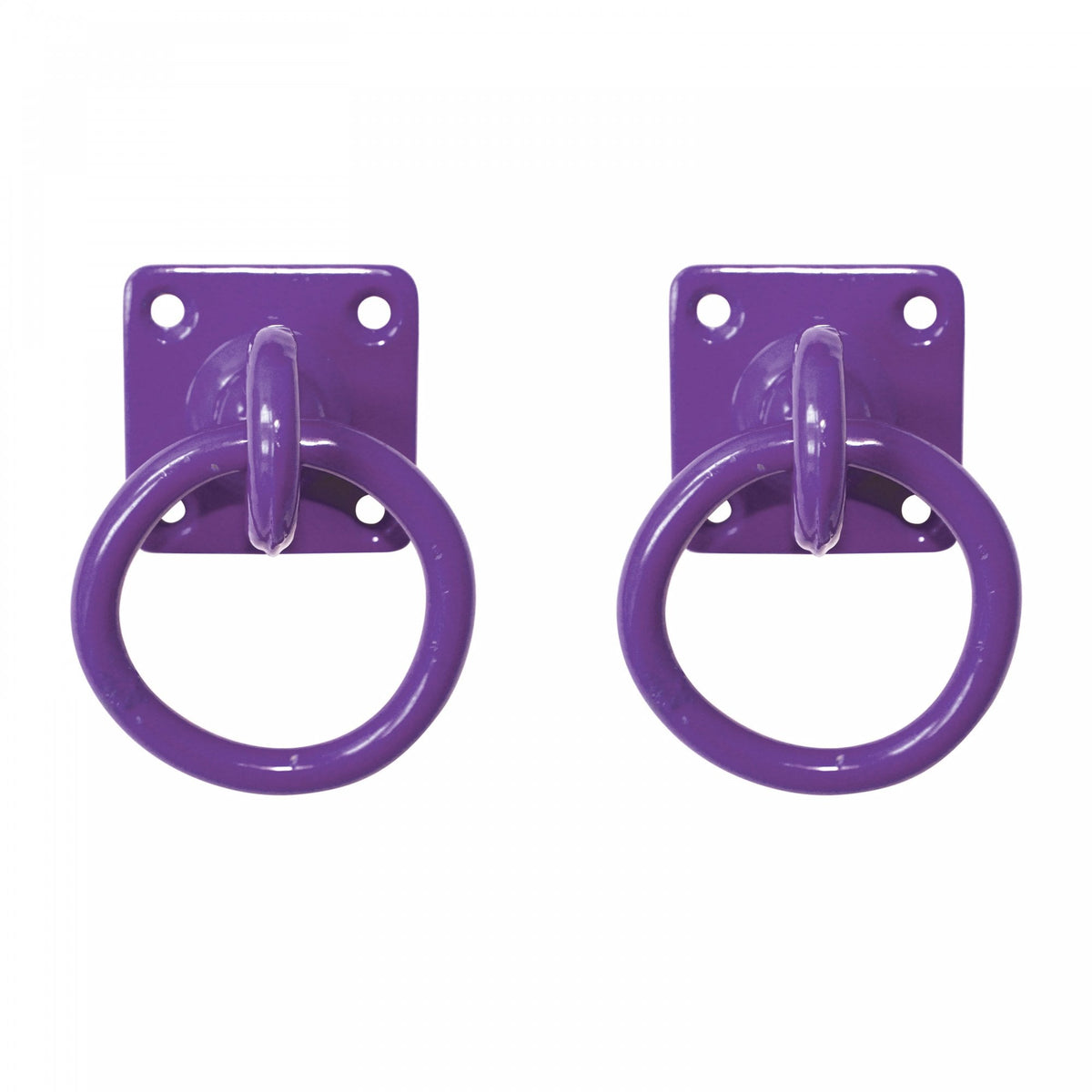 Perry Swivel Tie Ring On Mounting Plate Pack Of 2