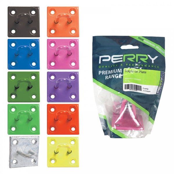 Perry Chain Staple on a Mounting Plate Pack of 2