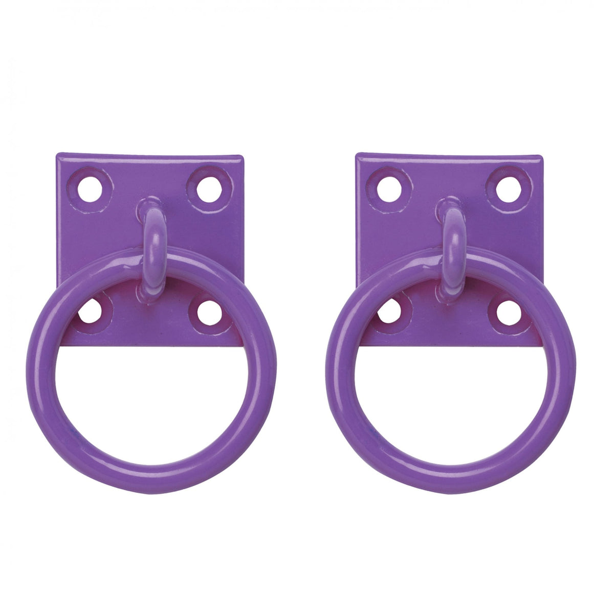 Perry Chain Ring on Mounting Plate Pack of 2