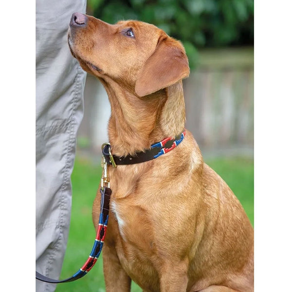 Digby & Fox Drover Polo Dog Collar Navy/Red