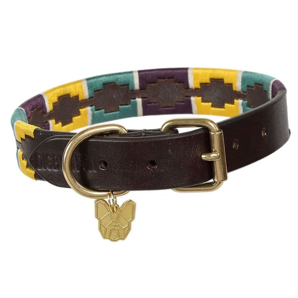 Digby & Fox Drover Polo Dog Collar Yellow/Dark Green/Purple