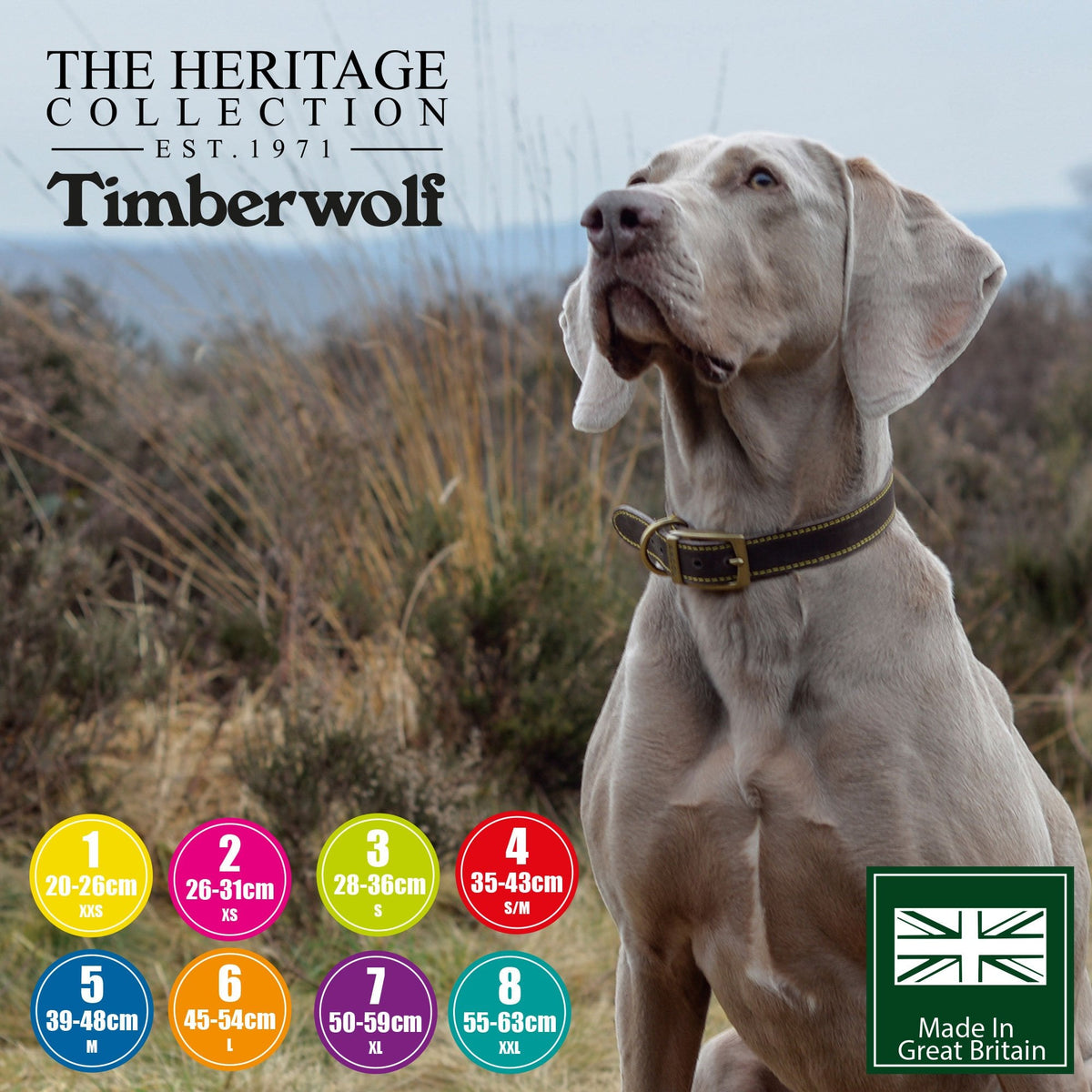 Ancol Timberwolf Leather Dog Collar