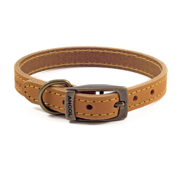 Ancol Timberwolf Leather Dog Collar
