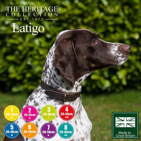 Ancol Latigo Dog Collar