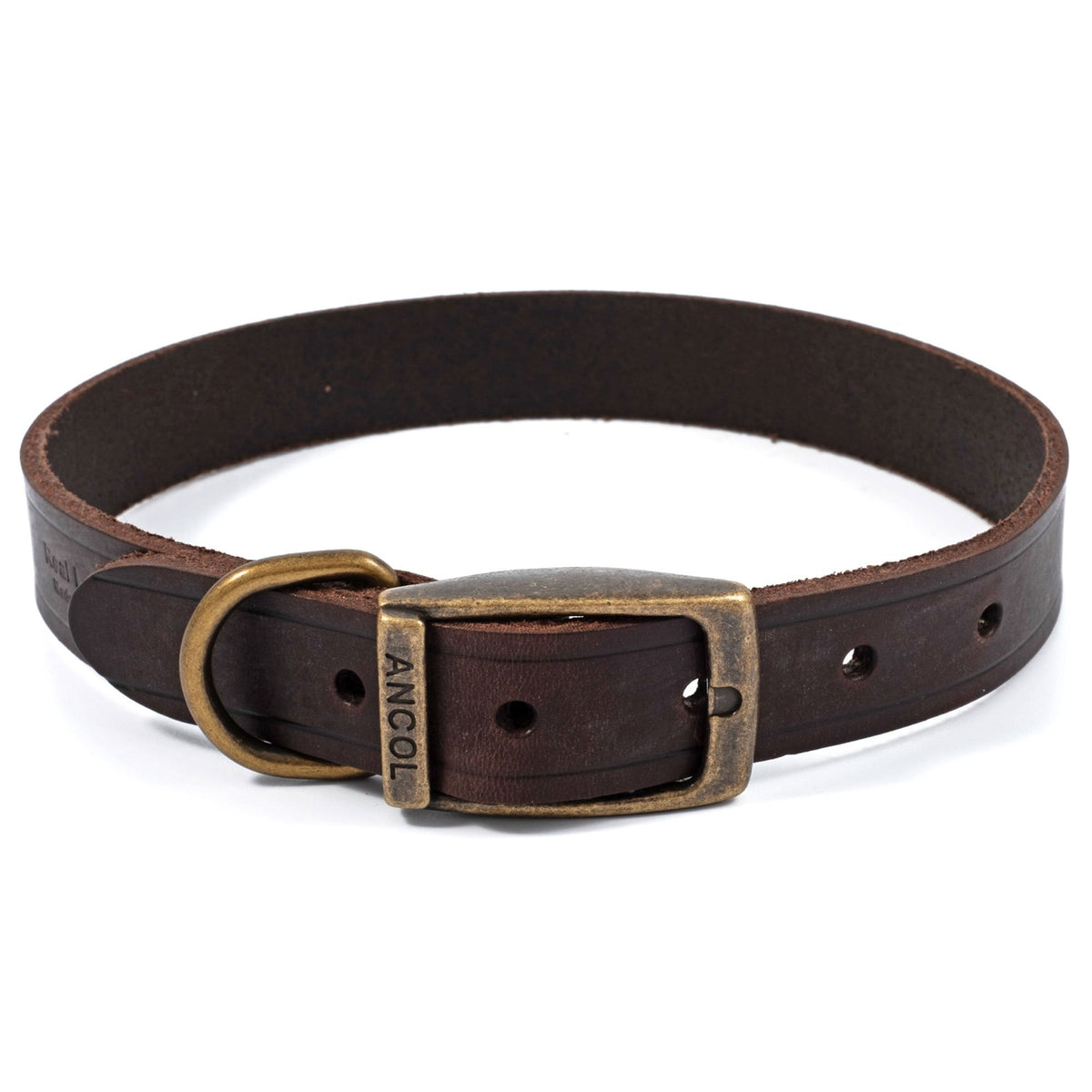Ancol Latigo Dog Collar