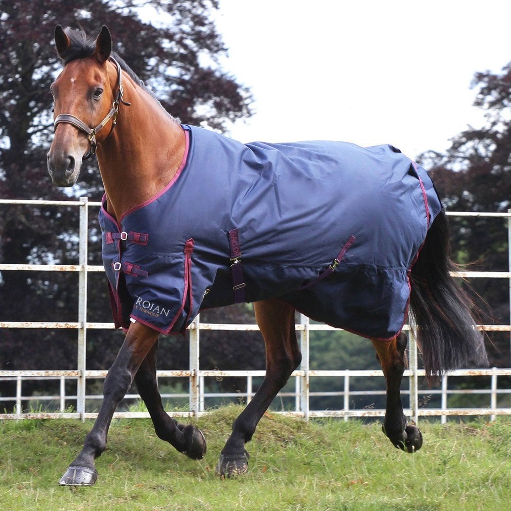 Gallop Trojan 50g Turnout Rug Navy/Burgundy