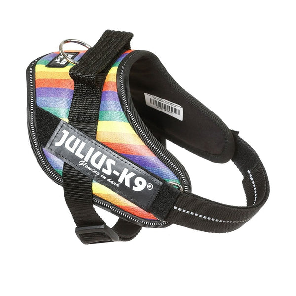 Julius-K9 IDC Powerharness Rainbow