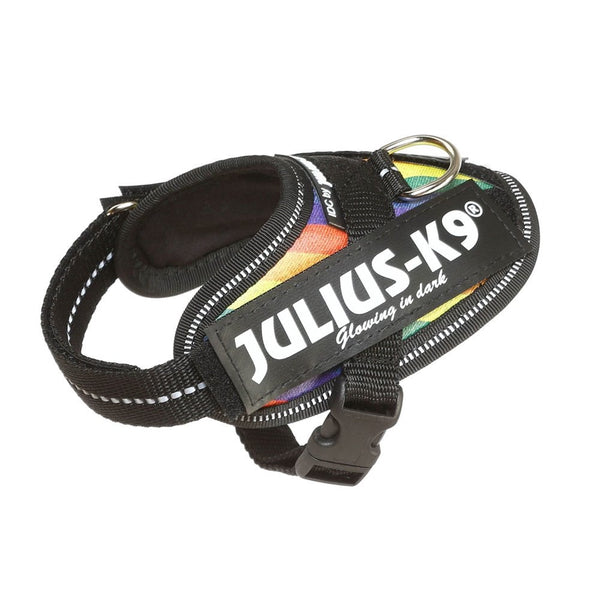 Julius-K9 IDC Powerharness Rainbow