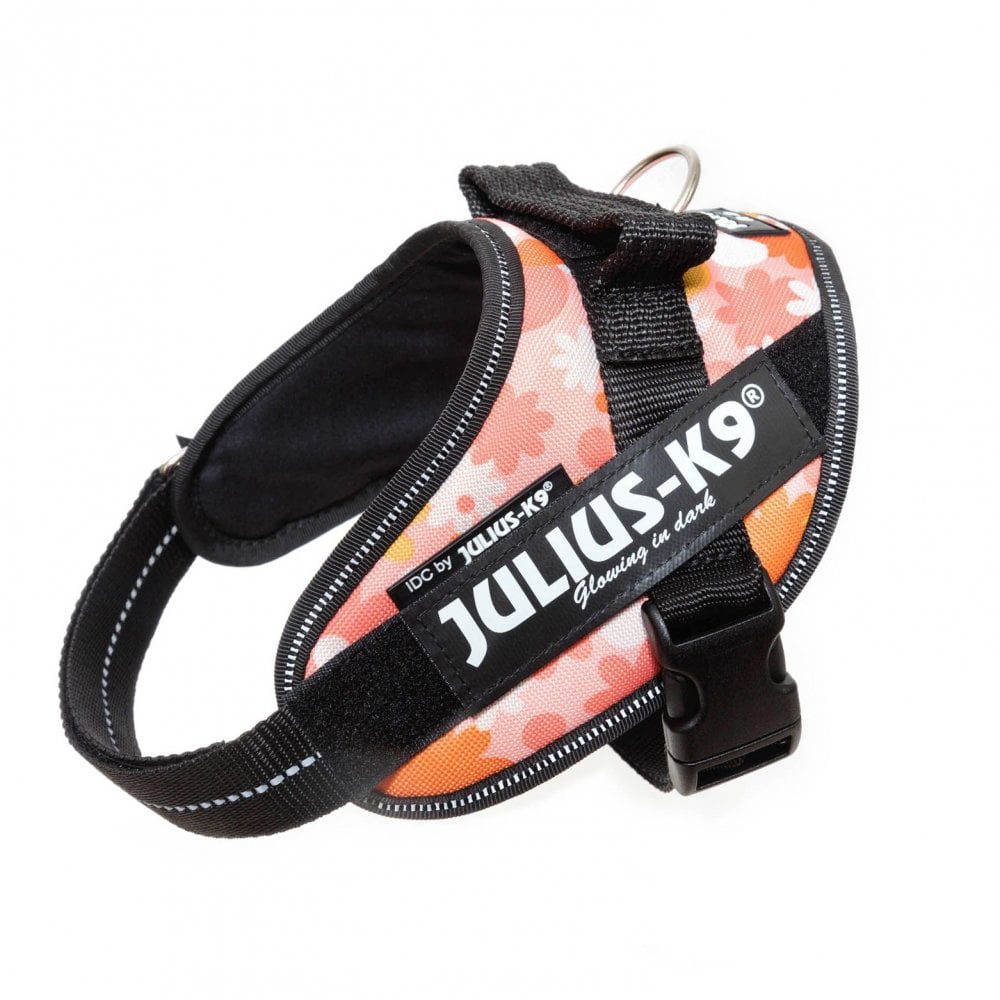 Julius-K9 IDC Powerharness Pink FLORAL
