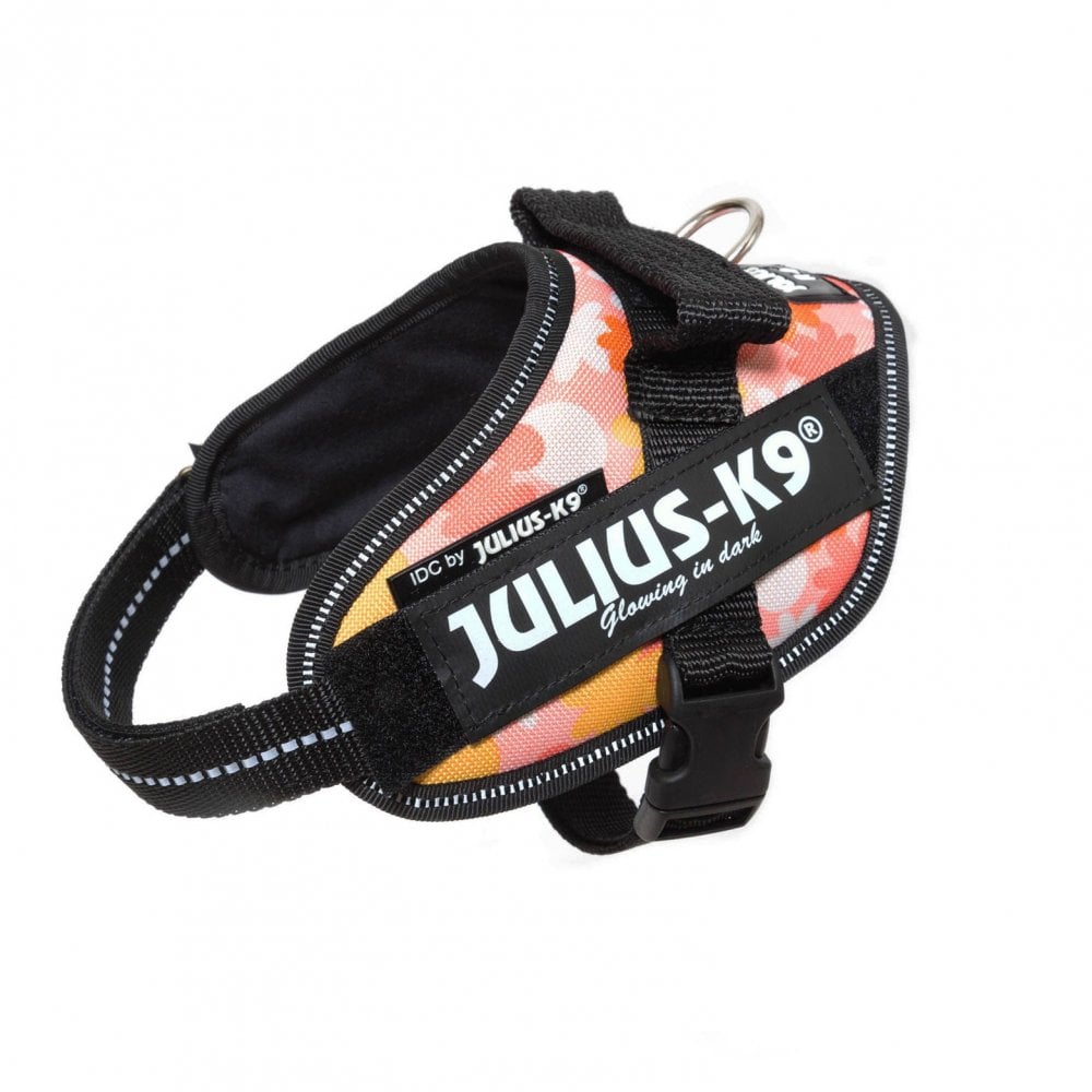 Julius-K9 IDC Powerharness Pink FLORAL