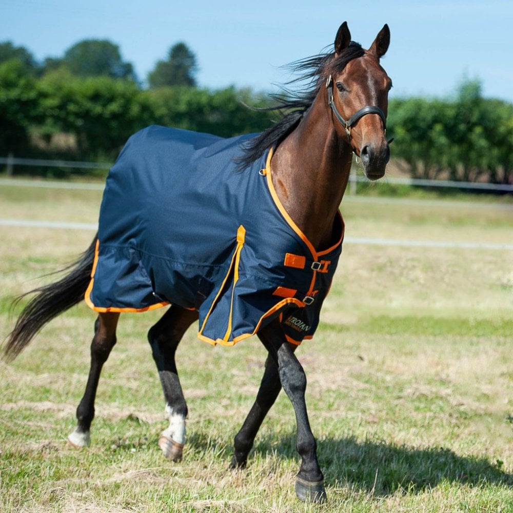 Gallop Trojan Turnout 100g No Neck Navy/Orange